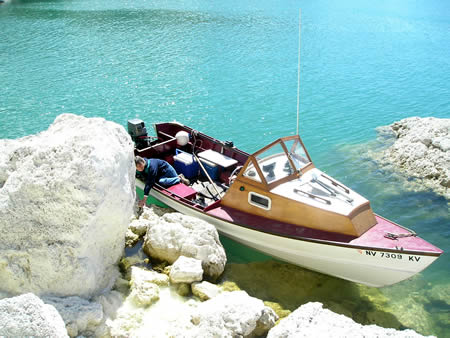 Here's Wanderer in Pyramid Lake again playing among the rocks