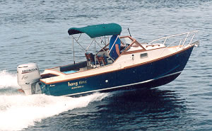 Island commuter or sportfisher, the 20' Coho